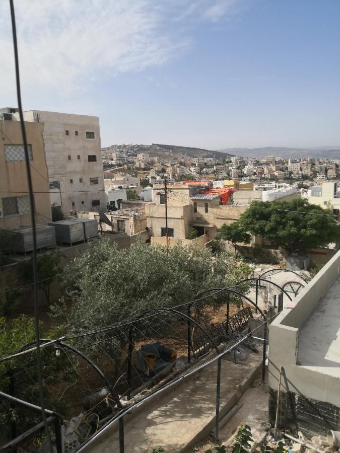 White Tulips Apartment الزنبقة البيضاء Gerasa Exterior foto