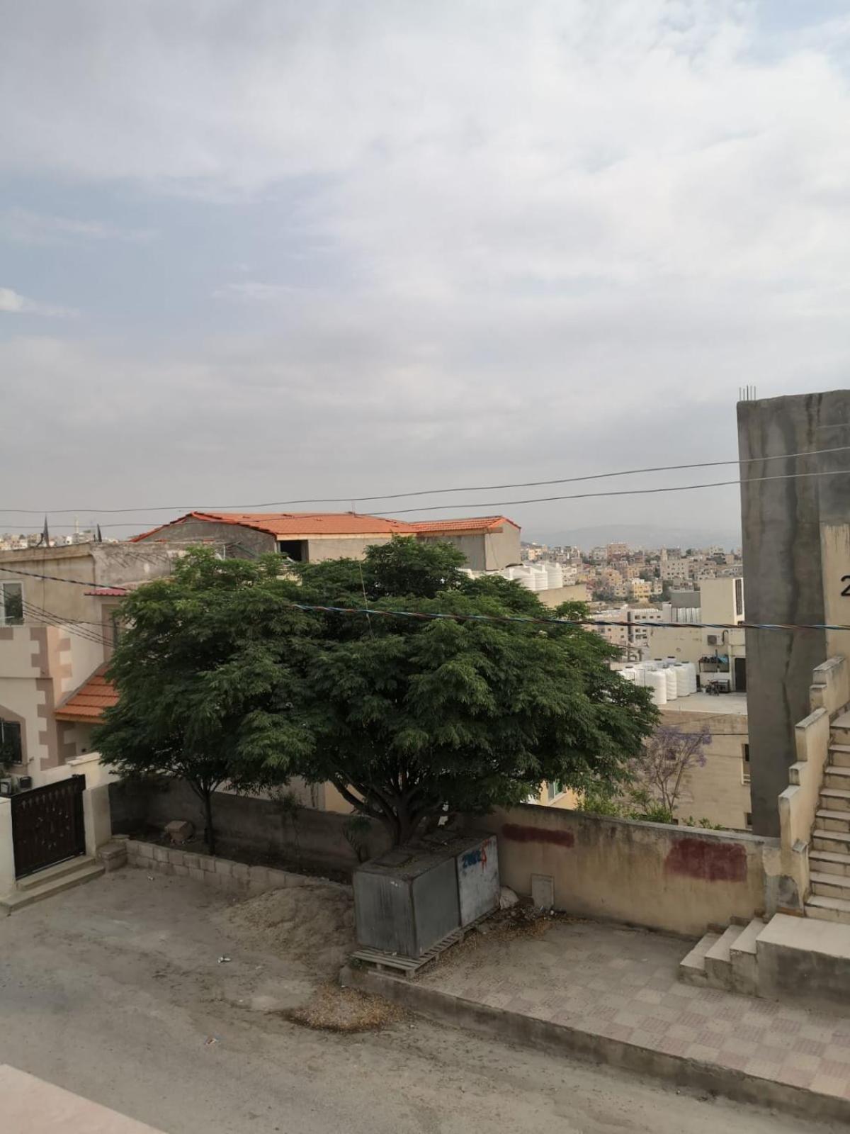 White Tulips Apartment الزنبقة البيضاء Gerasa Exterior foto